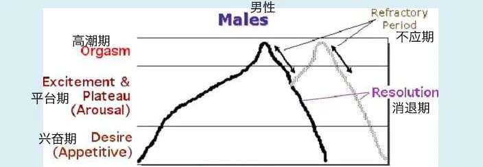 賢者時間是什么意思,圣人模式是什么意思,一般多久