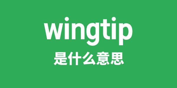 wingtip是什么意思