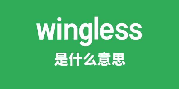 wingless是什么意思