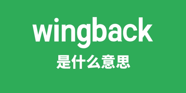 wingback是什么意思