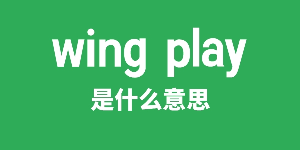 wing play是什么意思