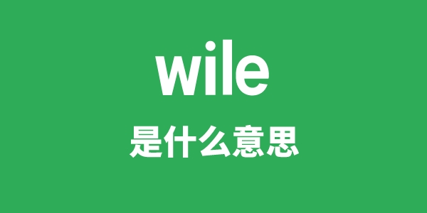 wile是什么意思