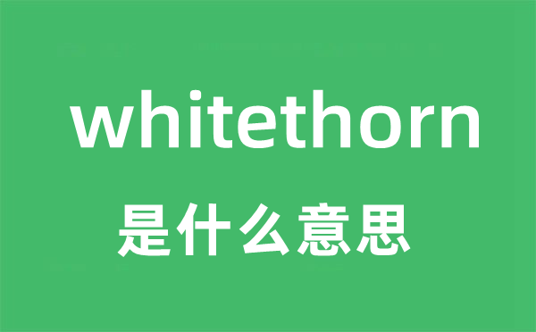 whitethorn是什么意思