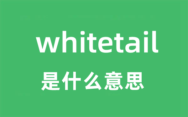 whitetail是什么意思