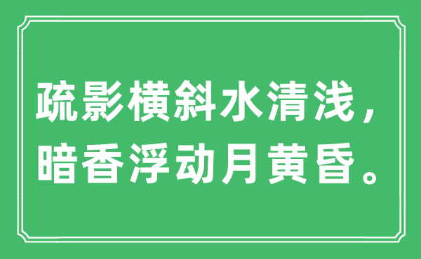 “疏影橫斜水清淺，暗香浮動月黃昏。”是什么意思,出處及原文翻譯