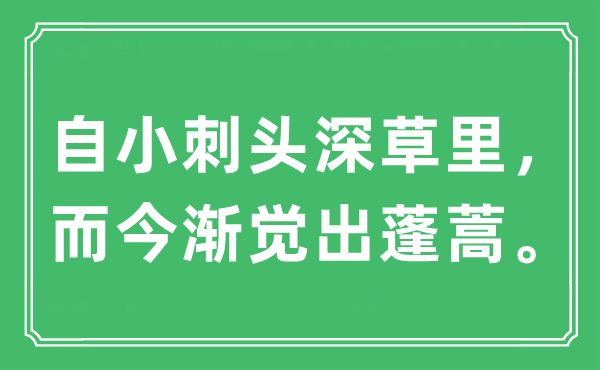 “自小刺頭深草里，而今漸覺出蓬蒿”是什么意思,出處及原文翻譯