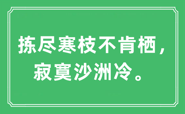 “揀盡寒枝不肯棲，寂寞沙洲冷”是什么意思,出處及原文翻譯