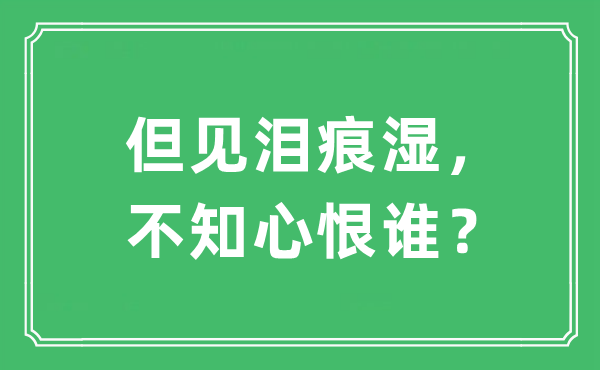 “但見淚痕濕，不知心恨誰？”是什么意思,出處及原文翻譯