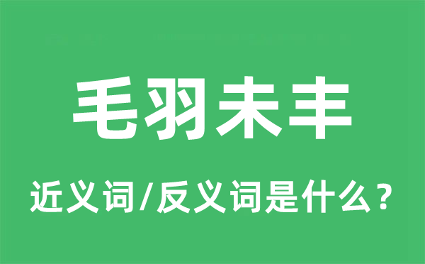 毛羽未豐的近義詞和反義詞是什么,毛羽未豐是什么意思