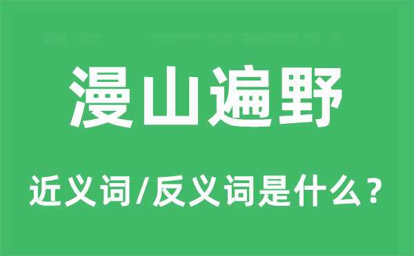 漫山遍野的近義詞和反義詞是什么,漫山遍野是什么意思