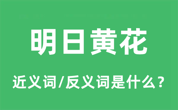 明日黃花的近義詞和反義詞是什么,明日黃花是什么意思