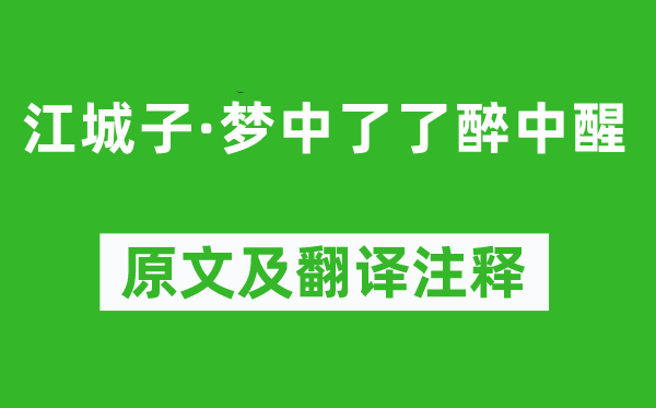 蘇軾《江城子·夢中了了醉中醒》原文及翻譯注釋,詩意解釋