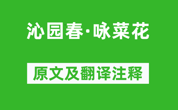 陳維崧《沁園春·詠菜花》原文及翻譯注釋,詩意解釋