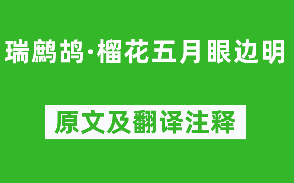 趙彥端《瑞鷓鴣·榴花五月眼邊明》原文及翻譯注釋,詩意解釋