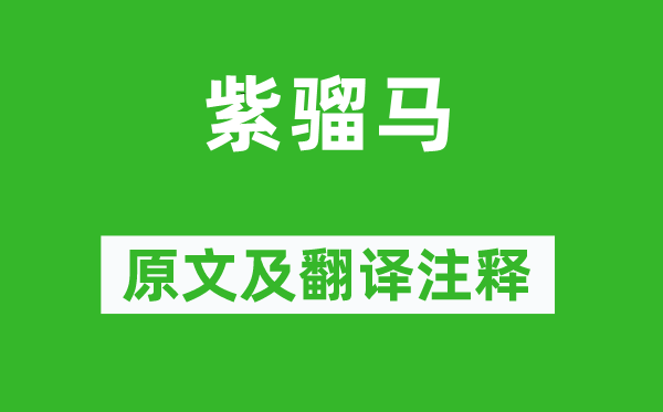 楊炯《紫騮馬》原文及翻譯注釋,詩意解釋