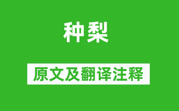 蒲松齡《種梨》原文及翻譯注釋,詩意解釋