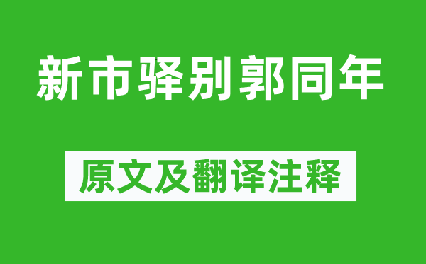 張詠《新市驛別郭同年》原文及翻譯注釋,詩意解釋