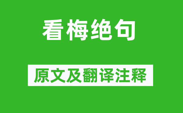 陸游《看梅絕句》原文及翻譯注釋,詩意解釋