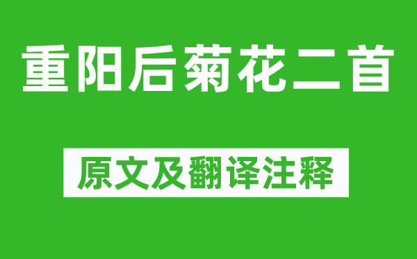 范成大《重陽后菊花二首》原文及翻譯注釋,詩意解釋