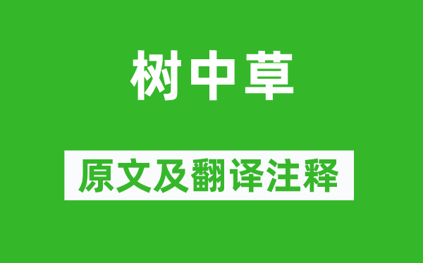 李白《樹中草》原文及翻譯注釋,詩意解釋