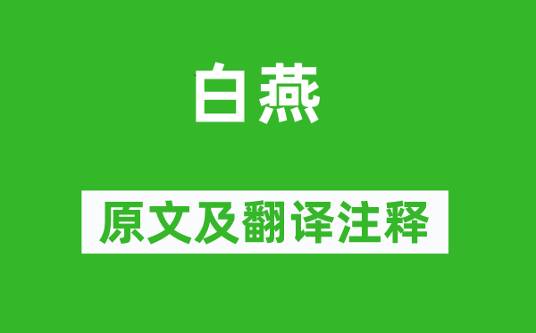 袁凱《白燕》原文及翻譯注釋,詩意解釋