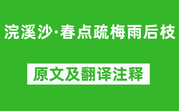 姜夔《浣溪沙·春點疏梅雨后枝》原文及翻譯注釋,詩意解釋