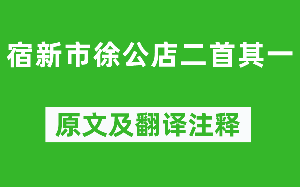 楊萬里《宿新市徐公店二首其一》原文及翻譯注釋,詩意解釋