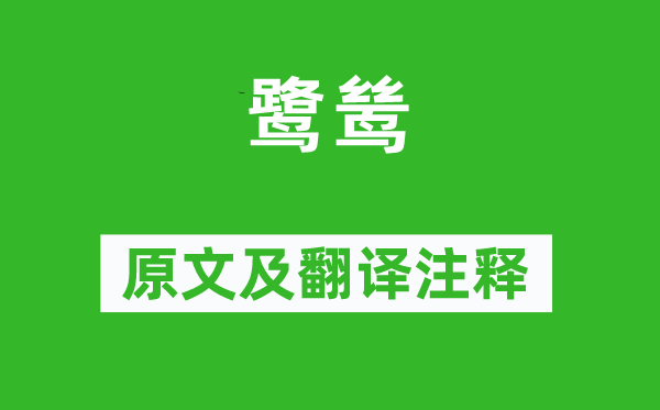 來鵠《鷺鷥》原文及翻譯注釋,詩意解釋