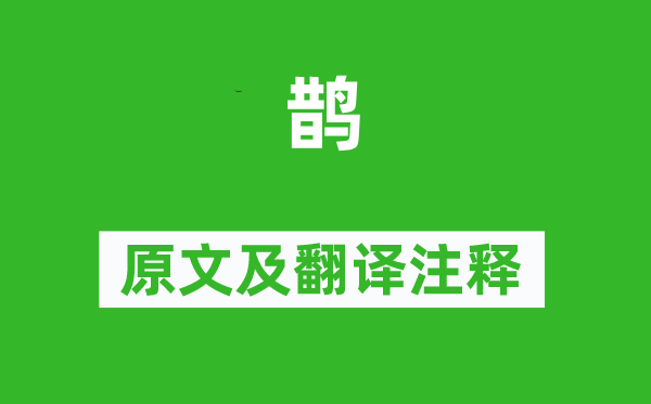 韓偓《鵲》原文及翻譯注釋,詩意解釋