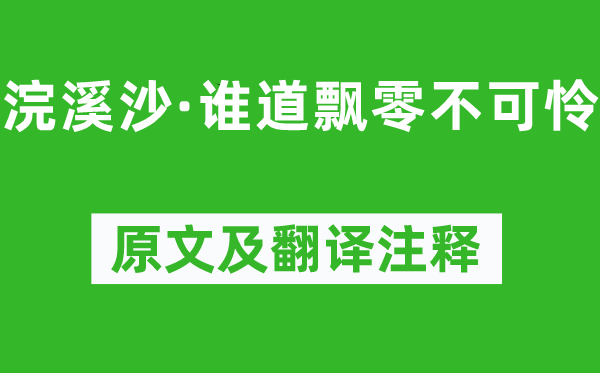 納蘭性德《浣溪沙·誰道飄零不可憐》原文及翻譯注釋,詩意解釋