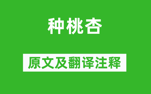 白居易《種桃杏》原文及翻譯注釋,詩意解釋