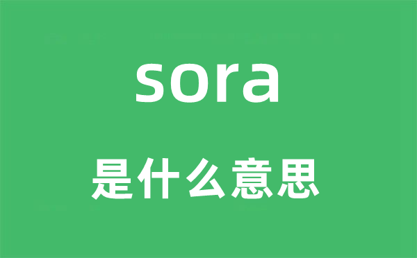 sora是什么意思,sora怎么讀,中文翻譯是什么