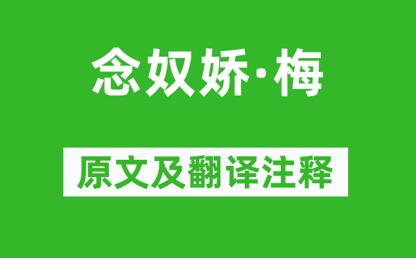 辛棄疾《念奴嬌·梅》原文及翻譯注釋,詩意解釋