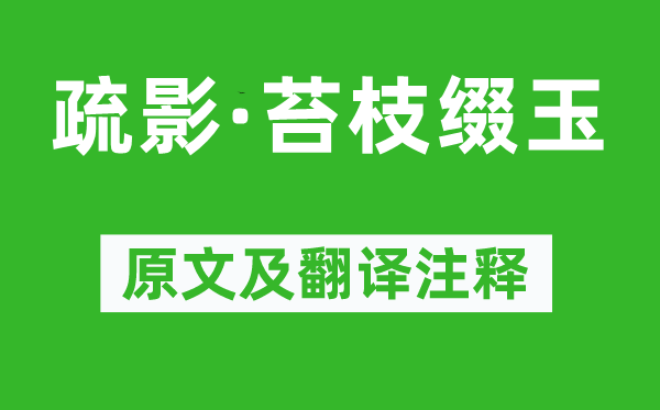 姜夔《疏影·苔枝綴玉》原文及翻譯注釋,詩(shī)意解釋