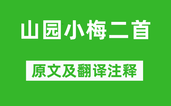 林逋《山園小梅二首》原文及翻譯注釋,詩意解釋