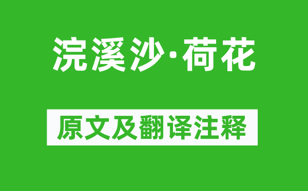 蘇軾《浣溪沙·荷花》原文及翻譯注釋,詩意解釋