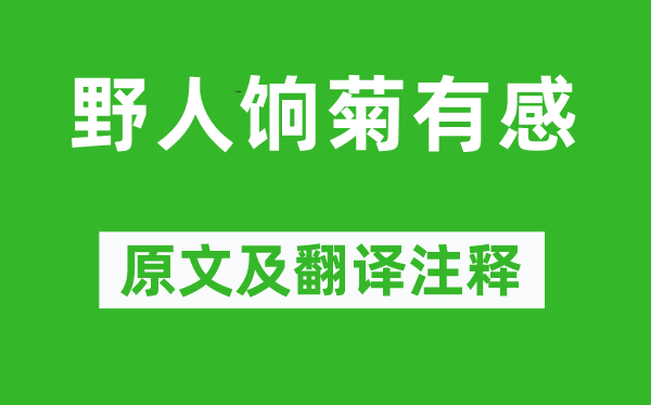 張煌言《野人餉菊有感》原文及翻譯注釋,詩意解釋