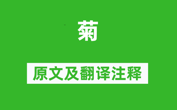 鄭谷《菊》原文及翻譯注釋,詩(shī)意解釋