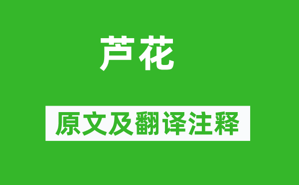 雍裕之《蘆花》原文及翻譯注釋,詩意解釋