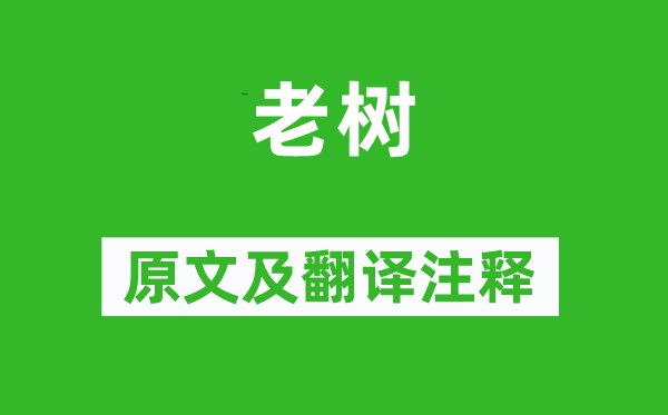 元好問《老樹》原文及翻譯注釋,詩意解釋