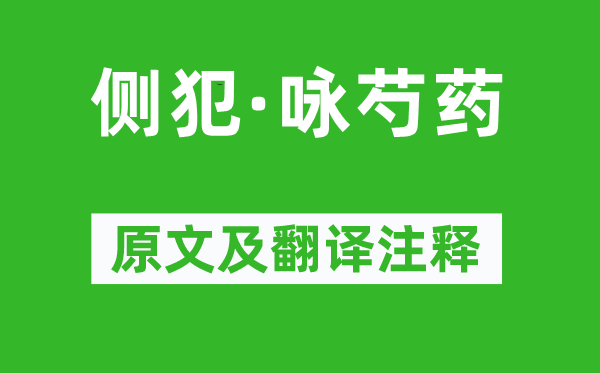 姜夔《側犯·詠芍藥》原文及翻譯注釋,詩意解釋