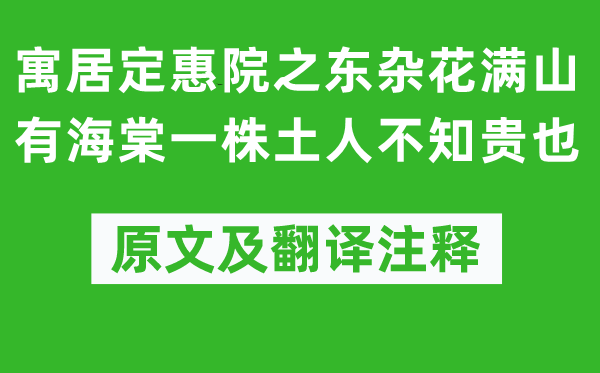 蘇軾《寓居定惠院之東雜花滿山有海棠一株土人不知貴也》原文及翻譯注釋,詩意解釋