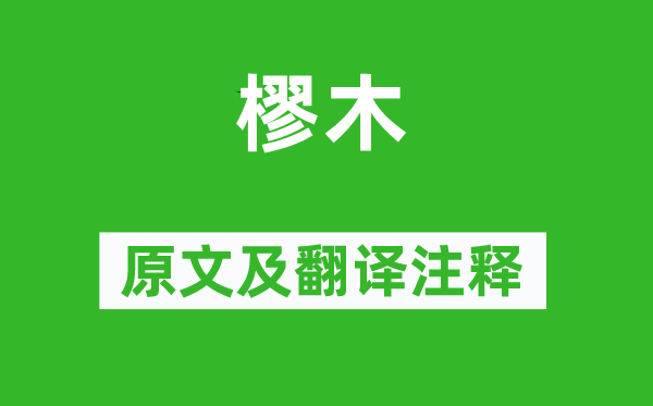 詩經·國風《樛木》原文及翻譯注釋,詩意解釋