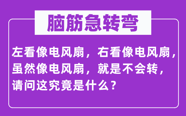 腦筋急轉彎：左看像電風扇，右看像電風扇，雖然像電風扇，就是不會轉，請問這究竟是什么？