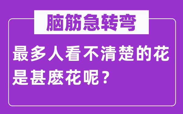 腦筋急轉彎：最多人看不清楚的花是甚麼花呢？