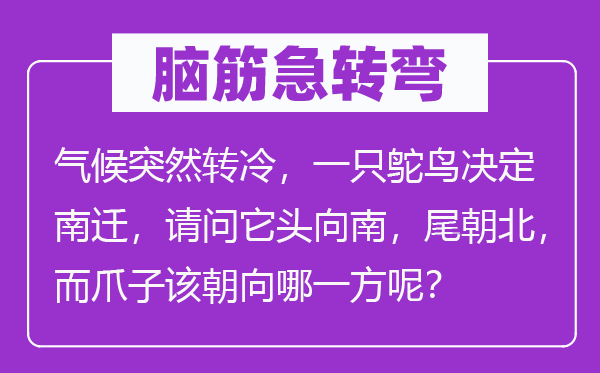 腦筋急轉(zhuǎn)彎：氣候突然轉(zhuǎn)冷，一只鴕鳥(niǎo)決定南遷，請(qǐng)問(wèn)它頭向南，尾朝北，而爪子該朝向哪一方呢？