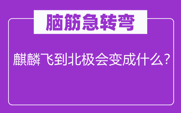 腦筋急轉彎：麒麟飛到北極會變成什么？