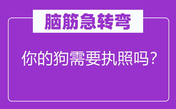 腦筋急轉彎：你的狗需要執照嗎？