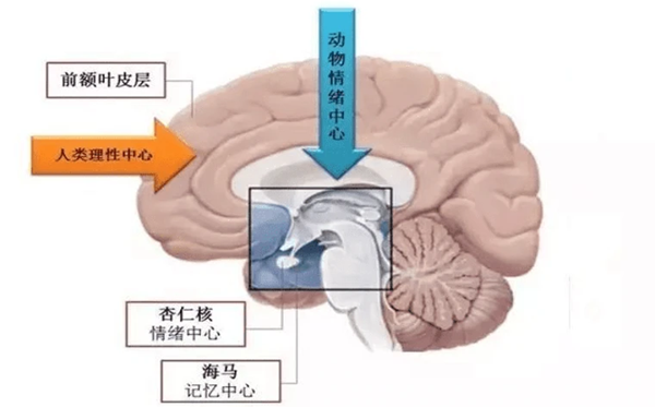 為什么記不住夢(mèng)境內(nèi)容,晚上做夢(mèng)記不住是怎么回事