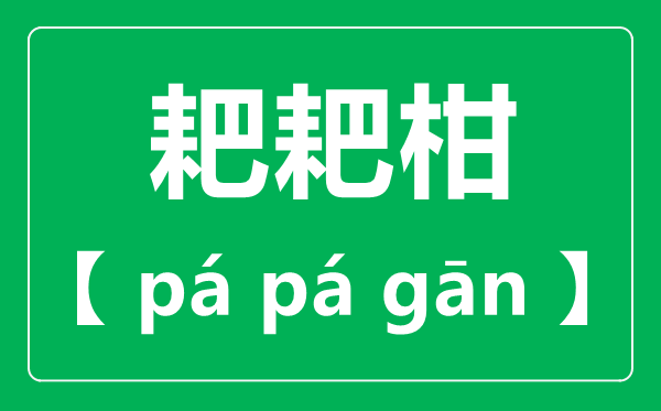 耙耙柑怎么讀,耙耙柑念pa還是ba,耙耙柑和橘子的區(qū)別是什么